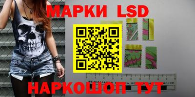 индика Тверь